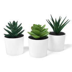 3 Pack of Artificial Succulent Potted Plants in White Plastic 6cm Pot Interior Decoration Tristar Online