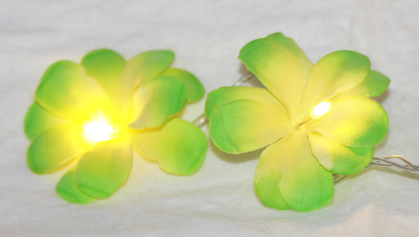 1 Set of 20 LED Green Frangipani Flower Battery String Lights Christmas Gift Home Wedding Party Decoration Outdoor Table Garland Wreath Tristar Online