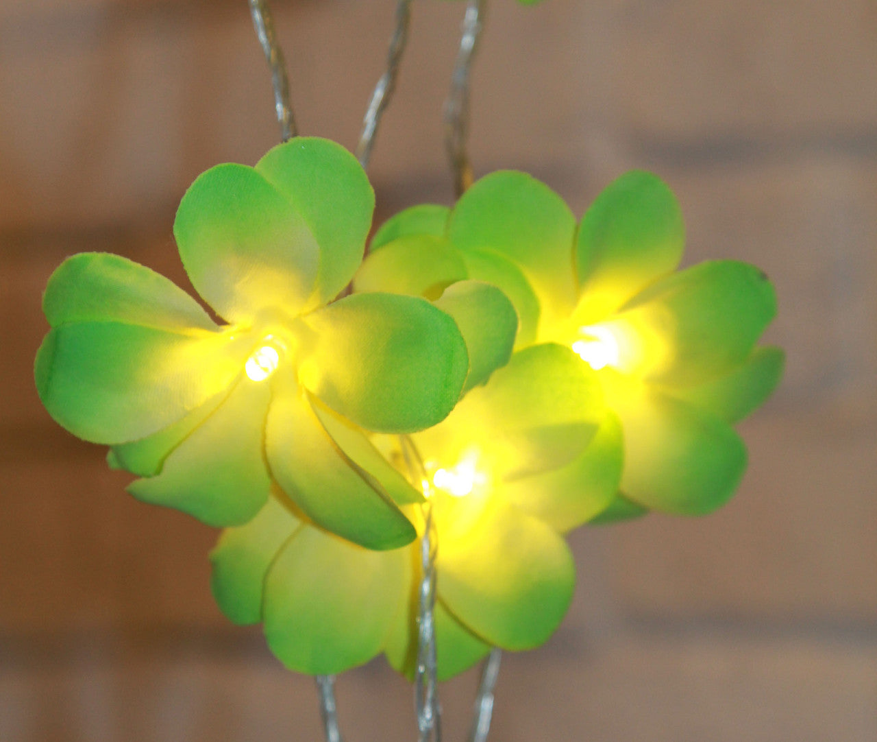 1 Set of 20 LED Green Frangipani Flower Battery String Lights Christmas Gift Home Wedding Party Decoration Outdoor Table Garland Wreath Tristar Online