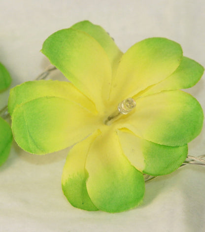 1 Set of 20 LED Green Frangipani Flower Battery String Lights Christmas Gift Home Wedding Party Decoration Outdoor Table Garland Wreath Tristar Online