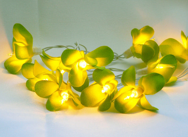 1 Set of 20 LED Green Frangipani Flower Battery String Lights Christmas Gift Home Wedding Party Decoration Outdoor Table Garland Wreath Tristar Online