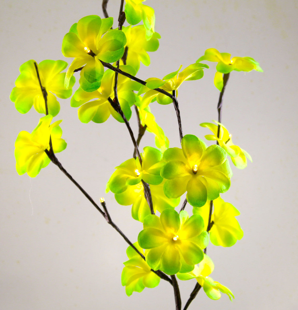 1 Set of 50cm H 20 LED Green Frangipani Tree Branch Stem Fairy Light Wedding Event Party Function Table Vase Centrepiece Tropical Decoration Tristar Online