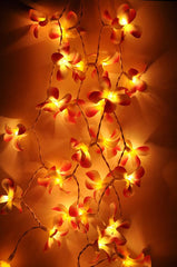 1 Set of 20 LED Orange Frangipani Flower Battery String Lights Christmas Gift Home Wedding Party Decoration Outdoor Table Garland Wreath Tristar Online