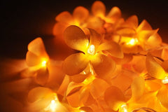 1 Set of 20 LED Orange Frangipani Flower Battery String Lights Christmas Gift Home Wedding Party Decoration Outdoor Table Garland Wreath Tristar Online