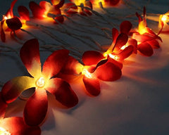 1 Set of 20 LED Deep Red Frangipani Flower Battery String Lights Christmas Gift Home Wedding Party Decoration Outdoor Table Garland Wreath Tristar Online