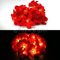 1 Set of 20 LED Deep Red Frangipani Flower Battery String Lights Christmas Gift Home Wedding Party Decoration Outdoor Table Garland Wreath Tristar Online