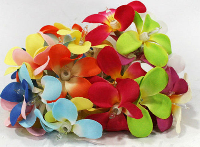 1 Set of 20 LED Tropical Bright Colous Frangipani Flower Battery String Lights Christmas Gift Home Wedding Party Decoration Outdoor Table Centrepiece Tristar Online