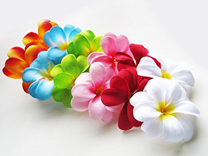 1 Set of 20 LED Tropical Bright Colous Frangipani Flower Battery String Lights Christmas Gift Home Wedding Party Decoration Outdoor Table Centrepiece Tristar Online