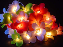 1 Set of 20 LED Tropical Bright Colous Frangipani Flower Battery String Lights Christmas Gift Home Wedding Party Decoration Outdoor Table Centrepiece Tristar Online