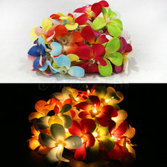 1 Set of 20 LED Tropical Bright Colous Frangipani Flower Battery String Lights Christmas Gift Home Wedding Party Decoration Outdoor Table Centrepiece Tristar Online