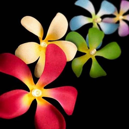 1 Set of 20 LED Tropical Bright Colous Frangipani Flower Battery String Lights Christmas Gift Home Wedding Party Decoration Outdoor Table Centrepiece Tristar Online