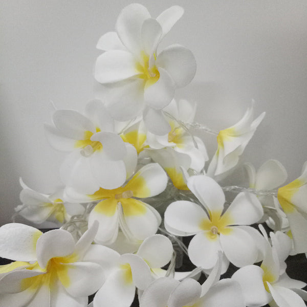 1 Set of 20 LED White Frangipani Flower Battery String Lights Christmas Gift Home Wedding Beach Party Decoration Outdoor Table Centrepiece Tristar Online