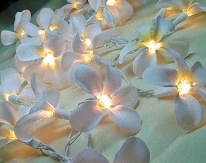 1 Set of 20 LED White Frangipani Flower Battery String Lights Christmas Gift Home Wedding Beach Party Decoration Outdoor Table Centrepiece Tristar Online