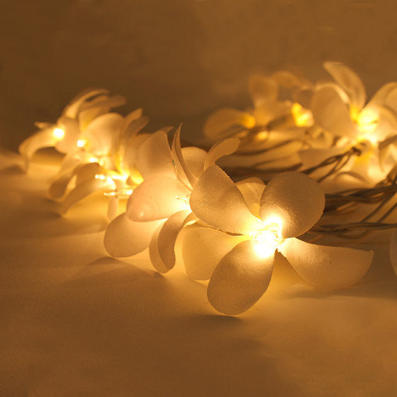 1 Set of 20 LED White Frangipani Flower Battery String Lights Christmas Gift Home Wedding Beach Party Decoration Outdoor Table Centrepiece Tristar Online