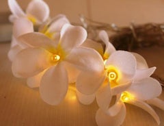1 Set of 20 LED White Frangipani Flower Battery String Lights Christmas Gift Home Wedding Beach Party Decoration Outdoor Table Centrepiece Tristar Online