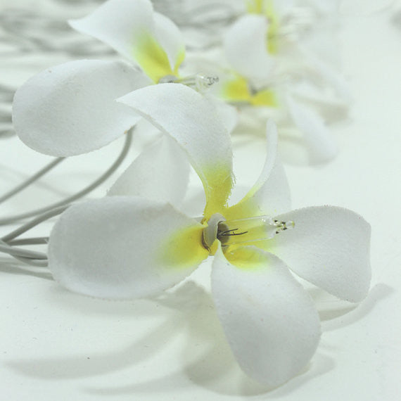 1 Set of 20 LED White Frangipani Flower Battery String Lights Christmas Gift Home Wedding Beach Party Decoration Outdoor Table Centrepiece Tristar Online