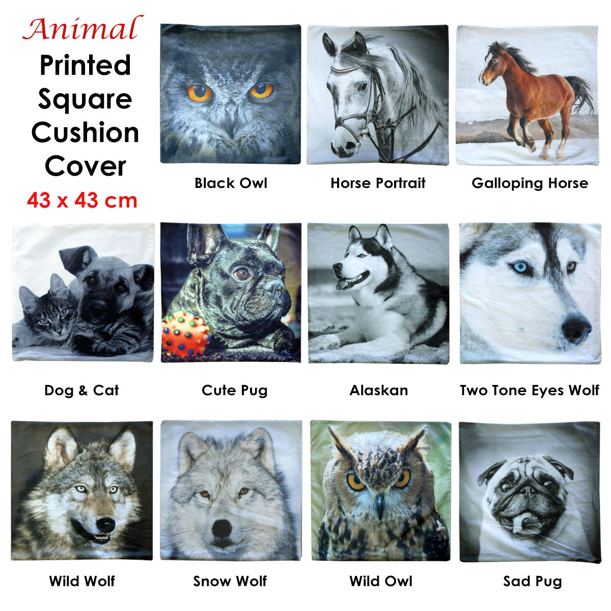 Horse Portrait Square Cushion Cover Tristar Online