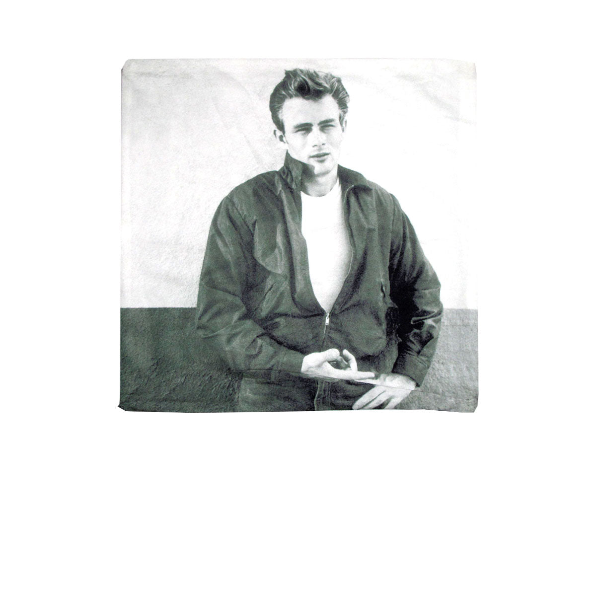 James Dean Star Square Cushion Cover Tristar Online