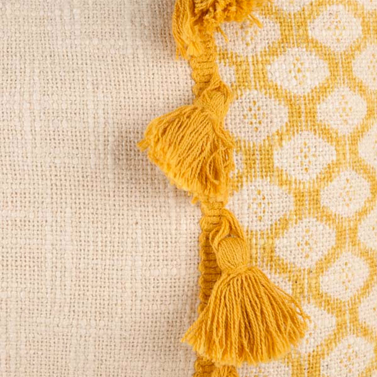 Accessorize Eleni Ochre Rectangular Filled Cushion 30cm x 50cm Tristar Online