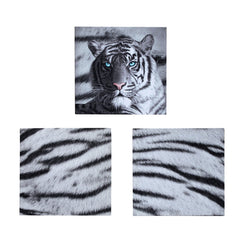 Just Home Set of 3 Printed Blue Eyes Stripes Tiger Wall Canvas Tristar Online