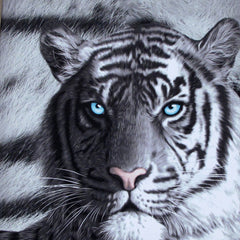 Just Home Set of 3 Printed Blue Eyes Stripes Tiger Wall Canvas Tristar Online