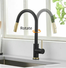2023 Brushed Gold Spout Matte Black pull out with spray function kitchen mixer tap faucet Tristar Online