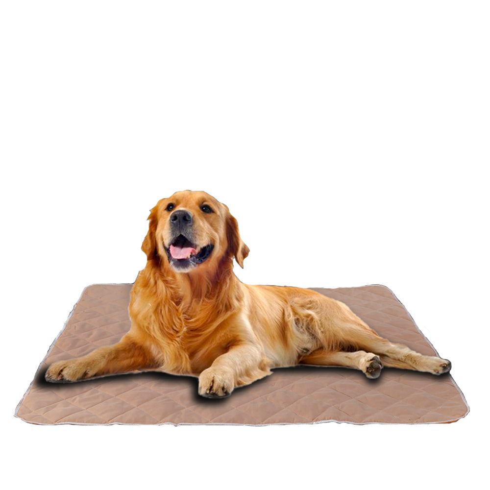 PaWz 2 Pcs 120x120 cm Reusable Waterproof Pet Puppy Toilet Training Pads Tristar Online