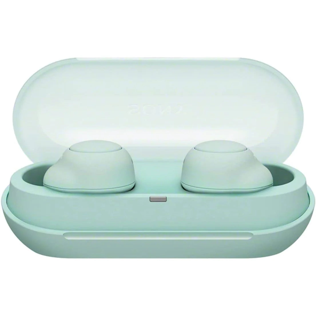 Sony WF-C500 True Wireless In-Ear Headphones Sony